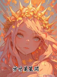 方寸是星河免费小说作者佚名全文阅读