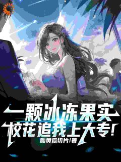 一颗冰冻果实，校花追我上大专！宁毅温雅小说全文阅读
