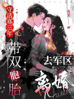 百度贴吧小说守活寡三年，带双胞胎去军区离婚，主角云织织秦时郁全文免费