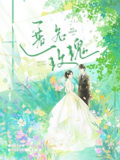 老书虫力荐匿名玫瑰免费无弹窗阅读