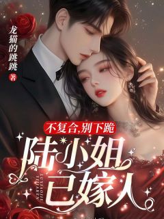 不复合，别下跪，陆小姐已嫁人知乎小说最新章节阅读
