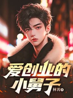 抖音小说爱创业的小舅子，主角苏盼儿顾临川最后结局小说全文免费-二筒文学网