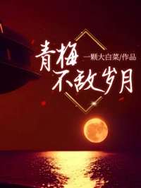 青梅不敌岁月沈清雨顾瑾之全章节在线阅读