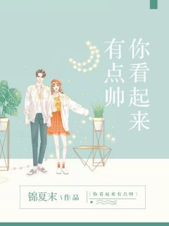 最完整版你看起来有点帅热门连载小说