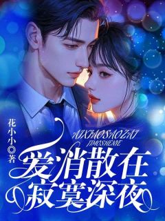 爱消散在寂寞深夜沈浩然慕南嫣无广告在线阅读