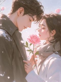 爆款小说我逃婚后，未婚夫追悔莫及主角乔笙蒋之寒全文在线完本阅读-二筒文学网