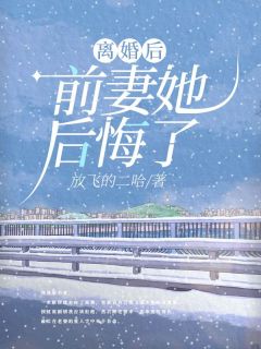 全网首发完整小说离婚后，前妻她后悔了主角陆子安唐暖暖在线阅读