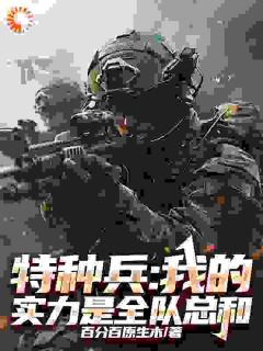 特种兵：我的实力是全队总和沈毅庄焱无广告在线阅读