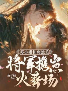 苏檀宋庭琛主角的小说完结版苏小姐和离独美，将军携崽火葬场全集