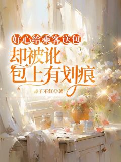 【好心给乘客送包，却被讹包上有划痕】小说在线阅读-好心给乘客送包，却被讹包上有划痕免费版目录阅读全文