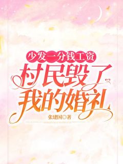 精彩小说少发一分钱工资，村民毁了我的婚礼王田勇王舒禾全章节在线阅读