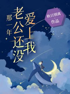 那一年，老公还没爱上我小说的书名是什么