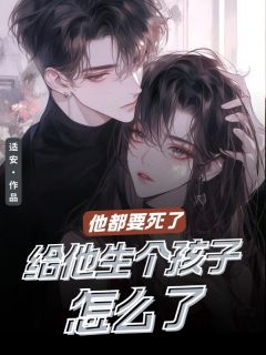 秦岚沈如风适安小说全章节最新阅读