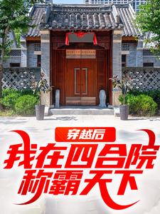 何雨柱许大茂小说穿越后，我在四合院称霸天下全文阅读