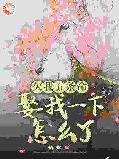 欠我五条命，娶我一下怎么了？免费小说作者怡嫦全文阅读