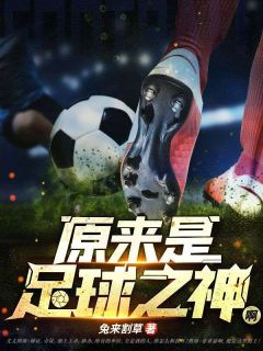 原来是足球之神啊完整版-亚瑟史蒂夫在线全文阅读