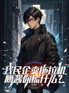 我民企卖拖拉机，鹰酱你慌什么？陈野钱振大结局小说全章节阅读