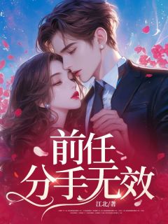 前任，分手无效小说全章节目录阅读BY江北完结版阅读-二筒文学网