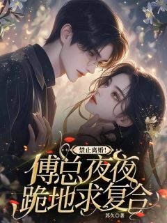 【抖音热推】林舒晚傅辞全文在线阅读-禁止离婚！傅总夜夜跪地求复合全章节目录