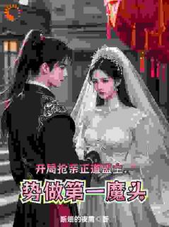 快手热推开局抢亲正道盟主，势做第一魔头小说主角陆玄泽南宫清霜在线阅读