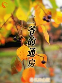 爆款小说二爷的通房在线阅读-沉鱼二爷免费阅读