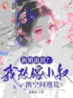 热文新婚流放？我改嫁小叔携空间逃荒小说-主角林书棠段砚洲全文在线阅读