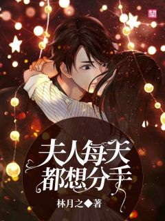 新书推荐夫人每天都想分手完整版小说-顾颜岳辰风最新章节阅读-二筒文学网
