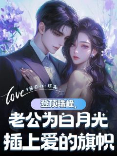 登顶珠峰，老公为白月光插上爱的旗帜无弹窗在线阅读-二筒文学网