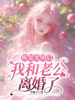 无弹窗小说恢复光明后，我和老公离婚了 作者小梳子-二筒文学网