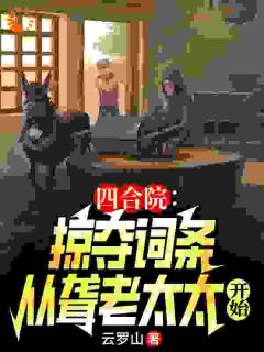 抖音爆款四合院：掠夺词条从聋老太太开始徐峰徐小月无广告阅读