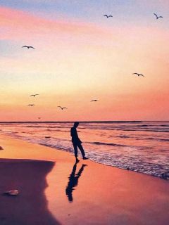 爱意消散在大西洋裴辰沈音最新章节在线阅读