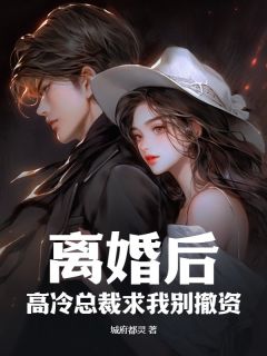 离婚后，高冷总裁求我别撤资小说_离婚后，高冷总裁求我别撤资小说结局阅读-二筒文学网