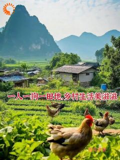 一人一狗一田地，乡村生活美滋滋在线全文阅读-主人公秦小川苏圆润小说