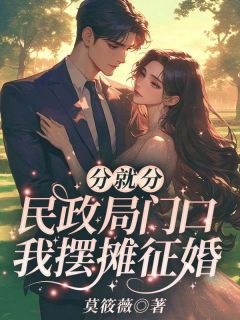 分就分，民政局门口我摆摊征婚小说全章节目录阅读BY莫筱薇完结版阅读-二筒文学网