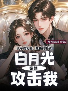 儿子婚礼时，死去的妻子白月光突然攻击我大结局阅读 蒋子期沈岚小说在线章节-二筒文学网
