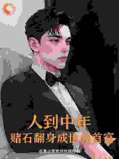 人到中年，赌石翻身成世界首富主角是林凡王哥小说百度云全文完整版阅读