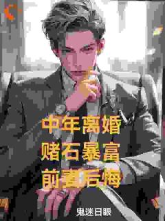 中年离婚，赌石暴富，前妻后悔(林凡顾语)小说全章节目录阅读