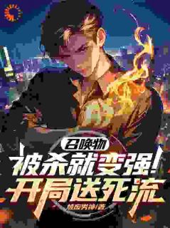 召唤物被杀就变强！开局送死流小说的书名是什么-二筒文学网