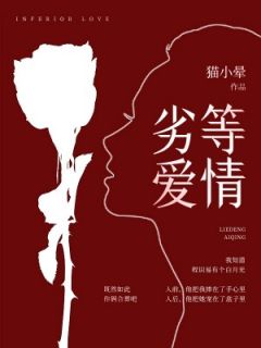 精选好书劣等爱情无删减版全文在线-二筒文学网