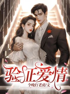 验证爱情小说免费版阅读抖音热文