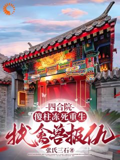张氏三石写的小说四合院：傻柱冻死重生找禽兽报仇在线阅读-二筒文学网
