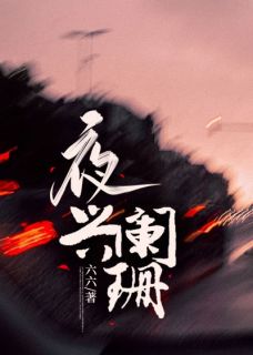 抖音爆款夜兴阑珊完整小说（全文阅读）-二筒文学网