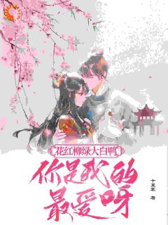 最新小说花红柳绿大白鸭，你是我的最爱呀主角丁离丁申成全文在线阅读