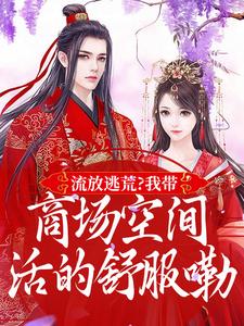 （全集-免费）流放逃荒？我带商场空间活的舒服嘞完本小说_林书棠段砚洲全文免费阅读