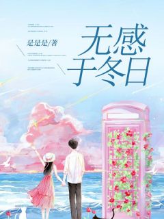 傅斯年叶流云小说章节目录阅读-无感于冬日在哪免费看