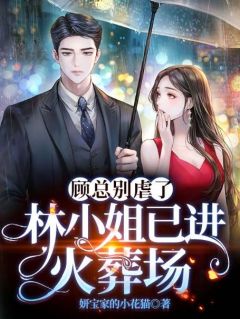 妍宝家的小花猫的小说顾总别虐了，林小姐已进火葬场全文阅读