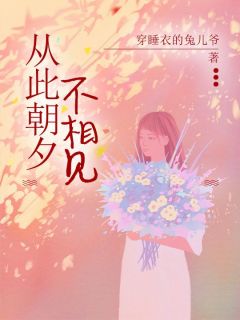 私藏读物从此朝夕不相见程以初程澈完结版免费阅读-二筒文学网