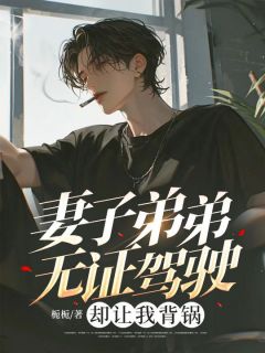 栀栀的小说妻子弟弟无证驾驶，却让我背锅主角是周正谢婉宁