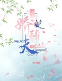 夫人娇弱，刀给为夫小说-夫人娇弱，刀给为夫抖音小说沈遥青贺彧