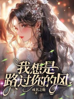 我想是路过你的风免费小说作者成名之鹿全文阅读